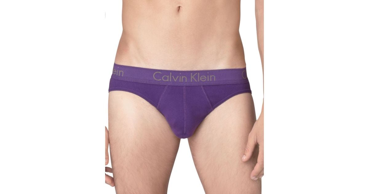 CALVIN KLEIN - Men's 3-pack logo briefs - purple - 0000U2661GH4U