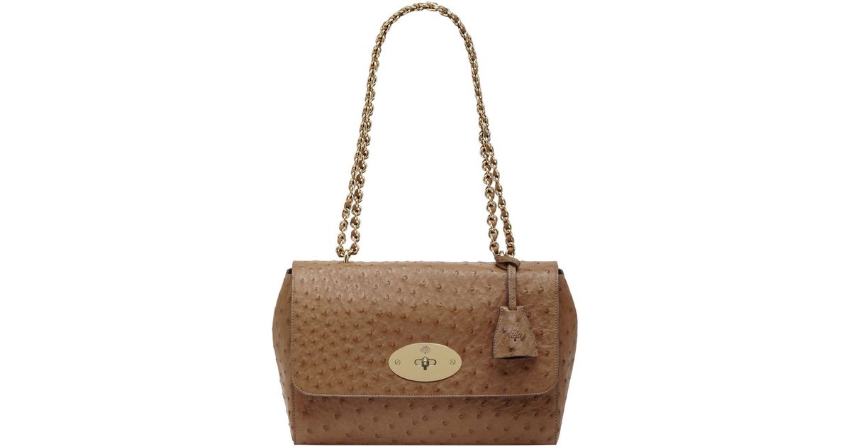 mulberry lily oak