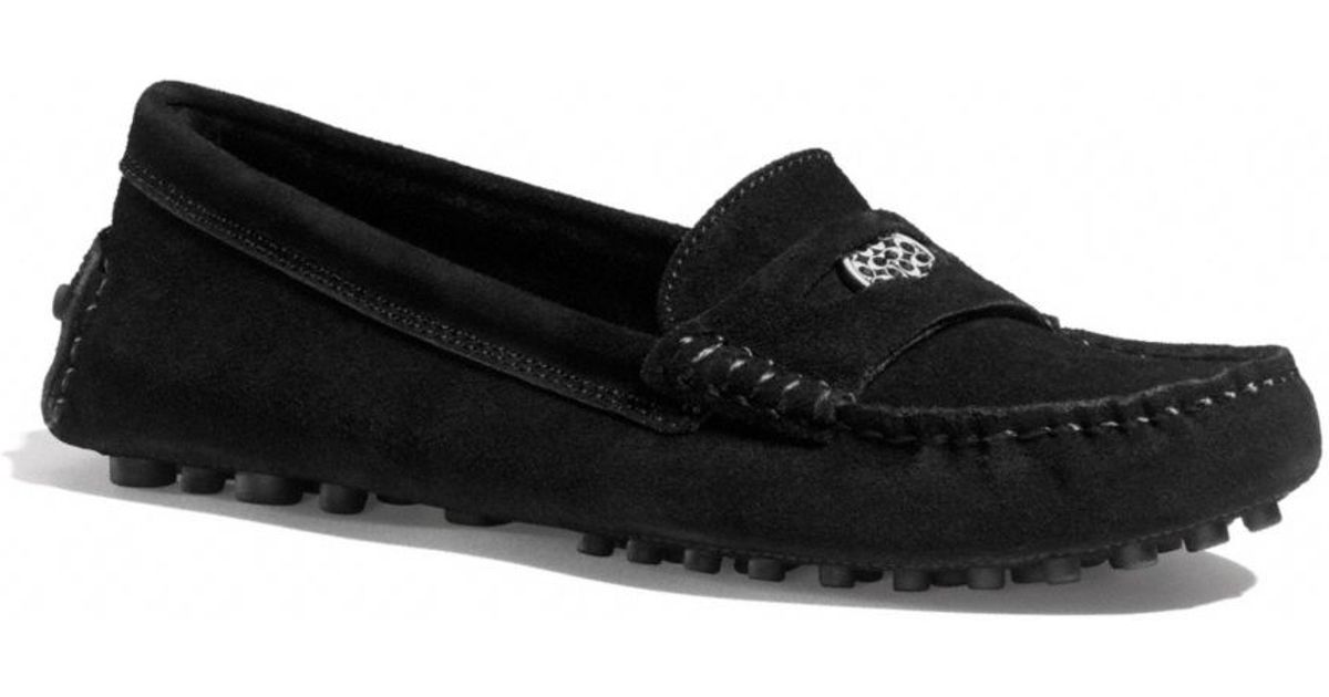 cora loafer coach
