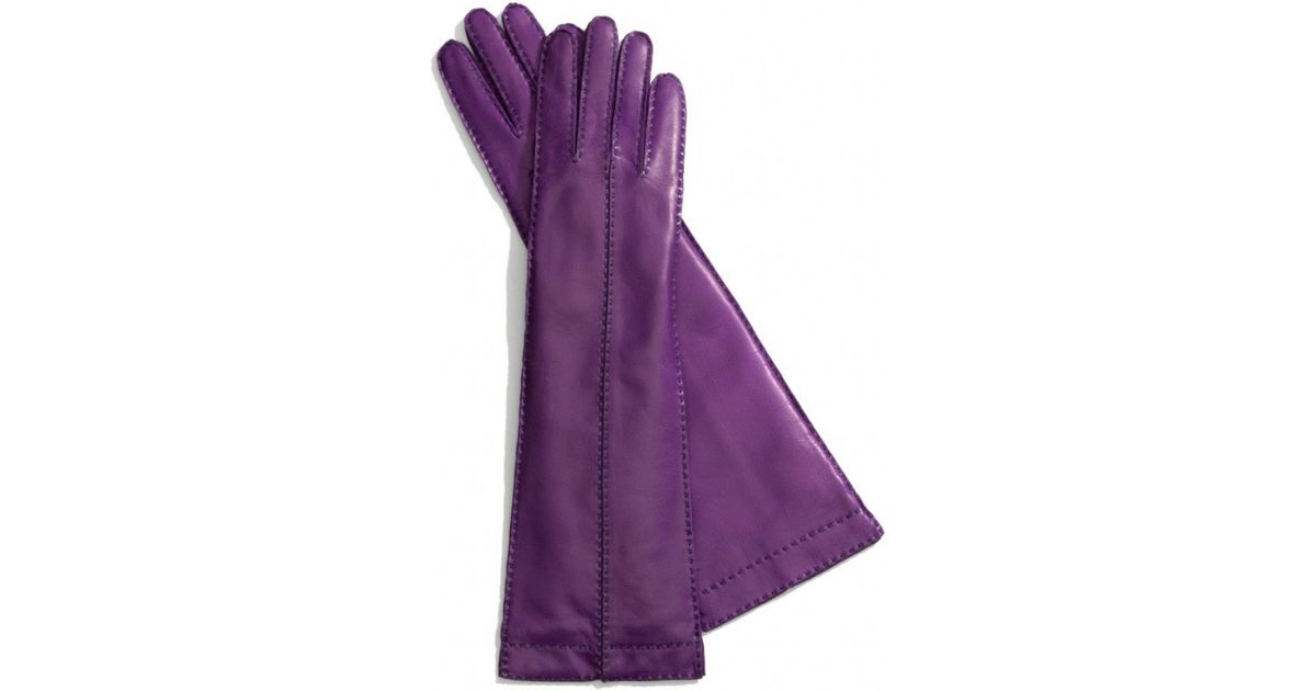 purple leather gloves