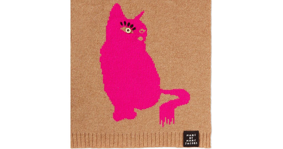 Jacobs Cat