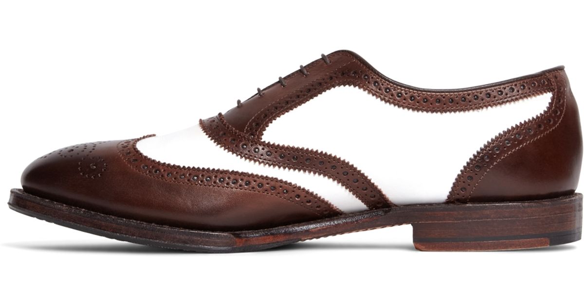 spectator wingtips