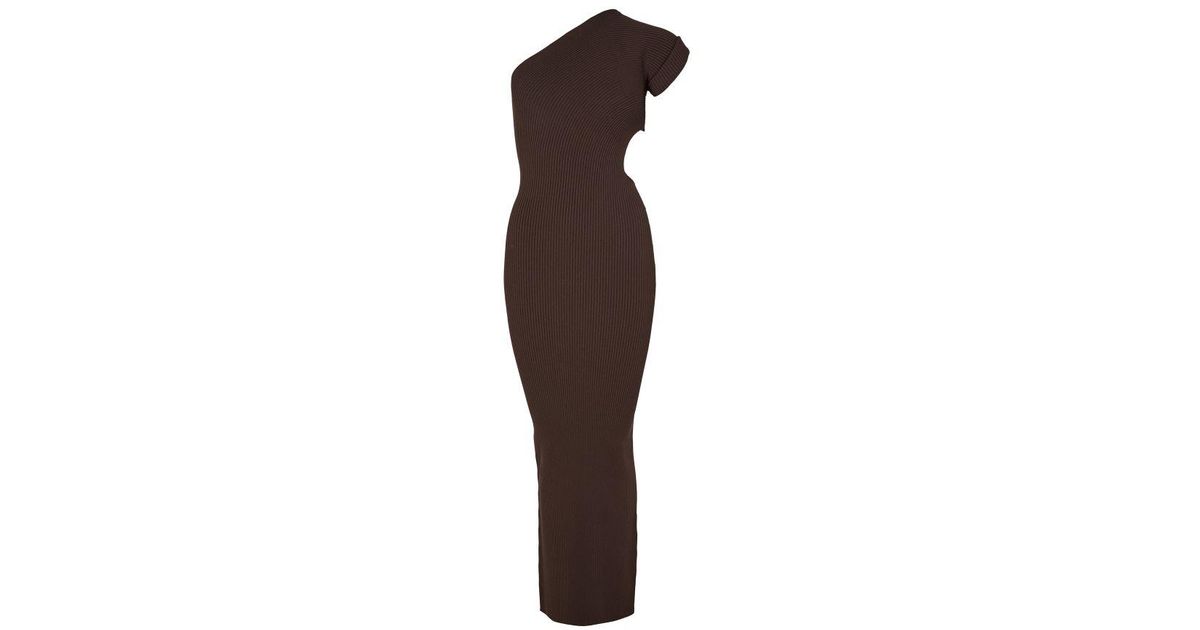 Max Mara Arda One-Shoulder Ribbed Maxi Dress in Brown | Lyst