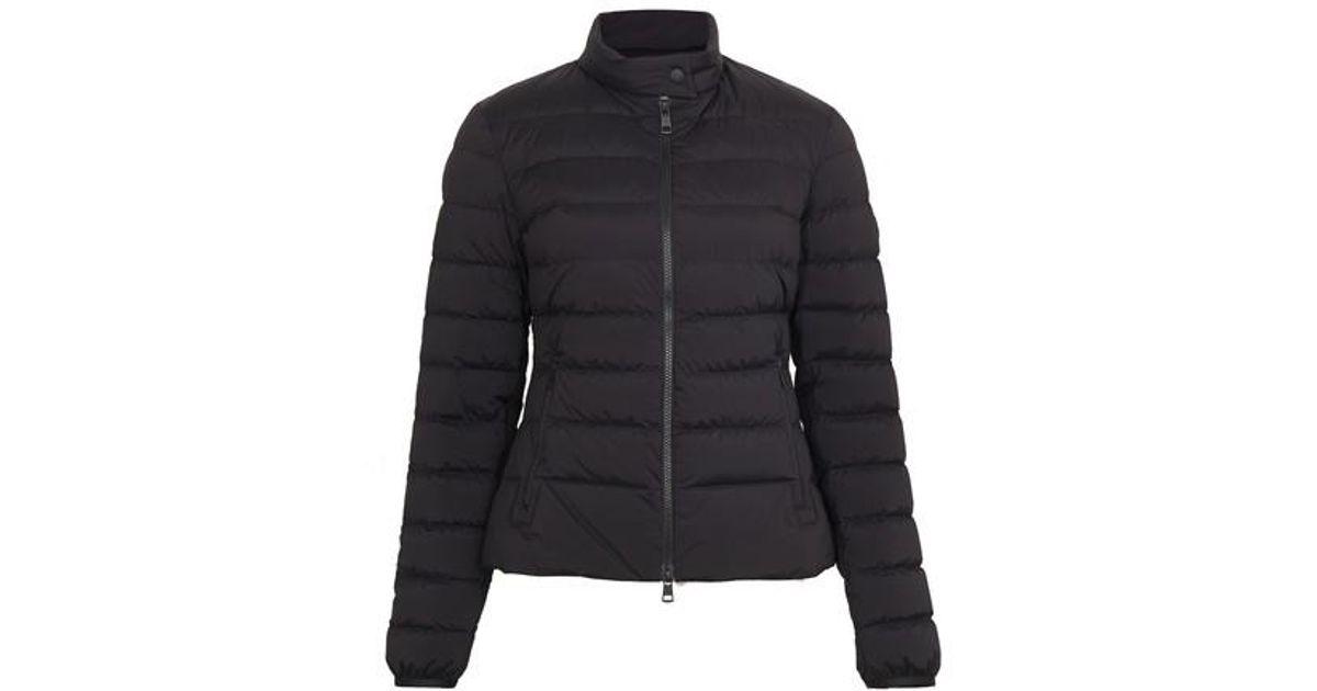 moncler guillemot