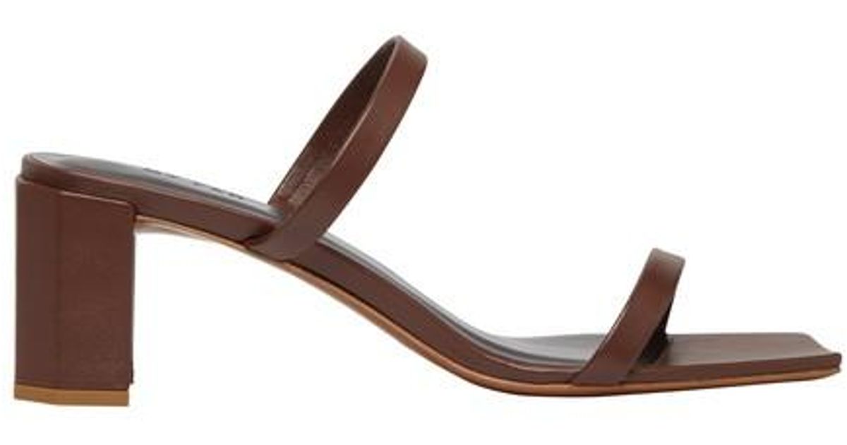 by far tanya mules