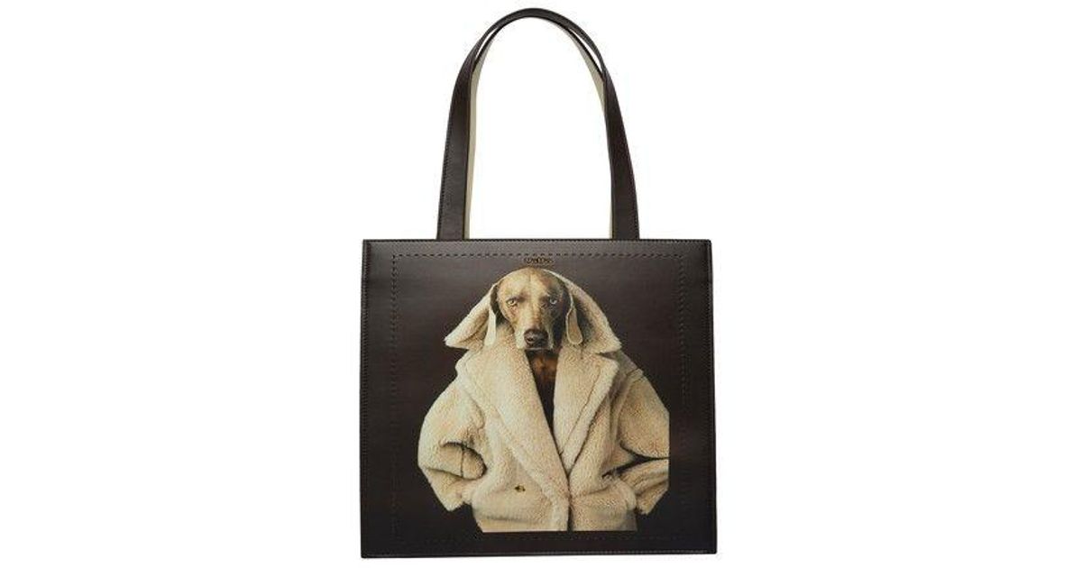 max-mara-testa_moro-Teddy-Dog- max-mara-testa_moro-Teddy-Dog-