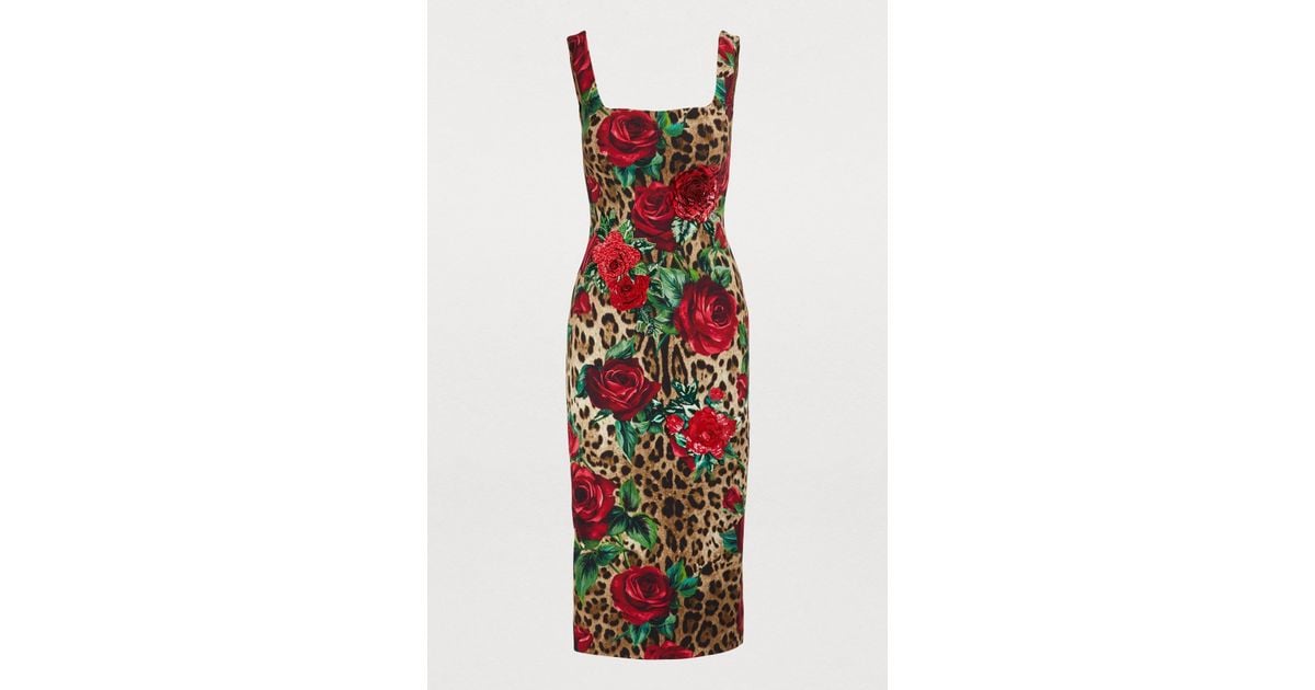 Dolce & Gabbana Leopard And Rose Print Midi Dress | Lyst