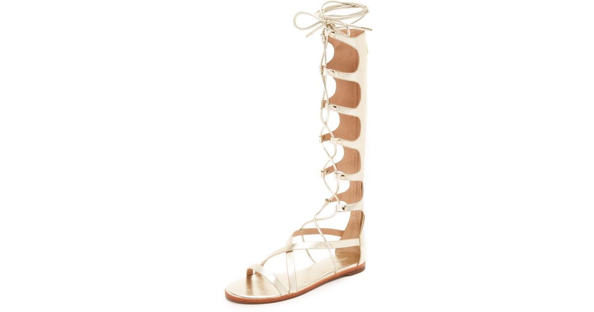 rachel zoe gladiator sandals