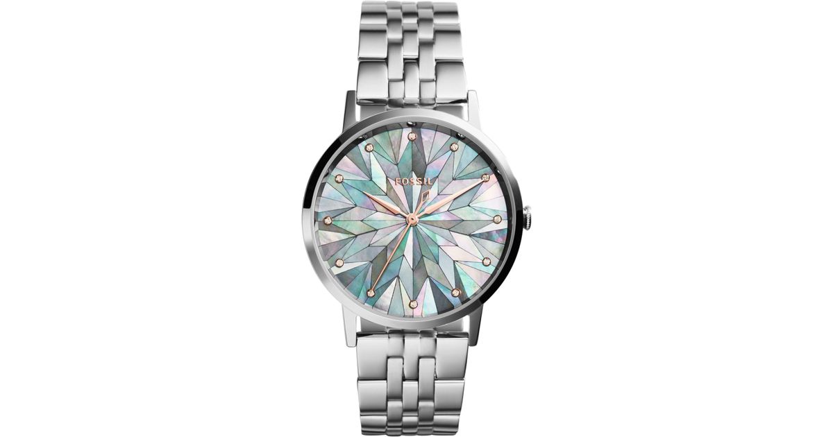 Fossil muse shop