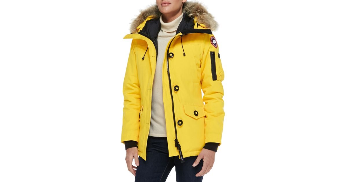 canada goose yellow coat canada goose yellow coat
