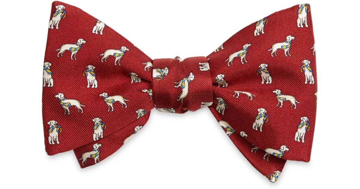Brooks Brothers Silk Dog Print Bow Tie in Red for Men Lyst