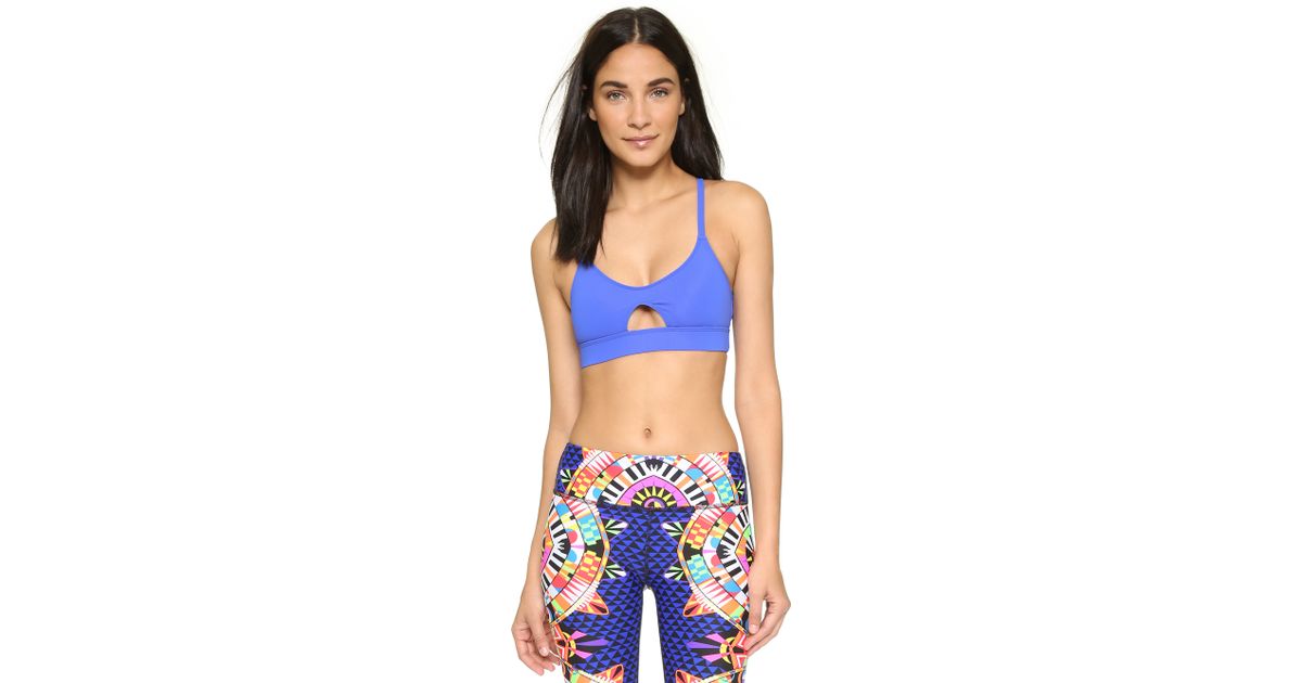periwinkle sports bra