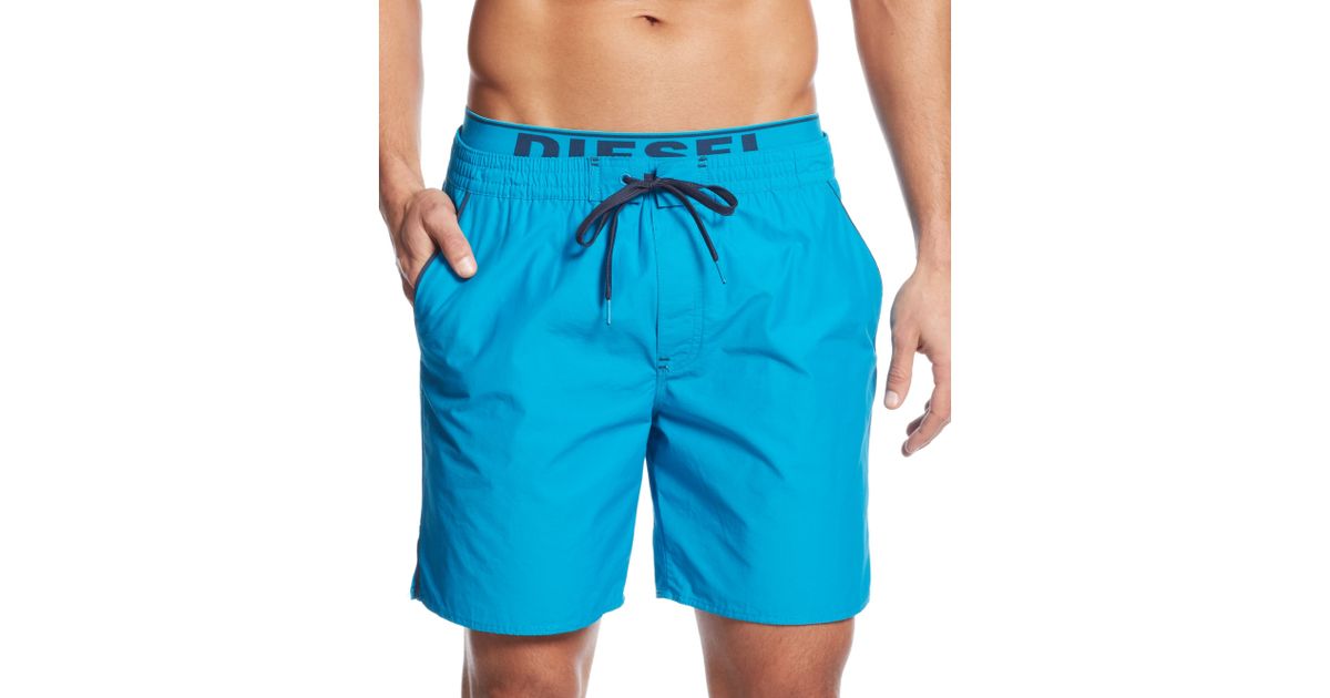 dolphin swim trunks
