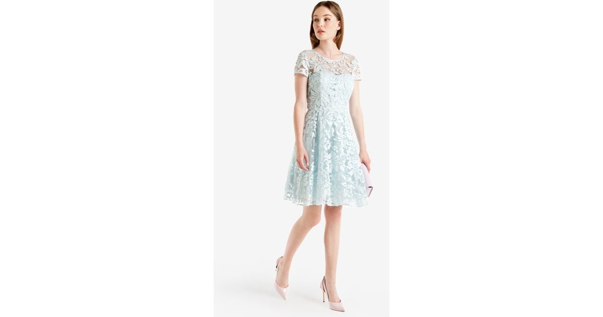 Ted Baker Floral Lace Dress in Light 