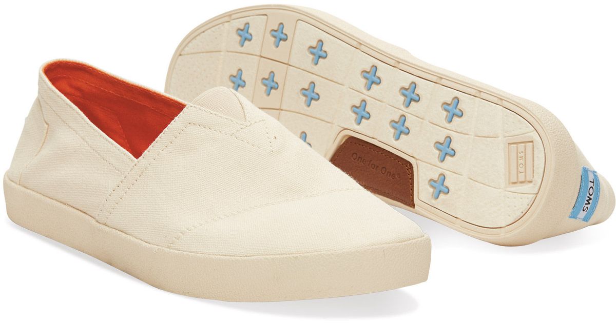 toms avalon mens