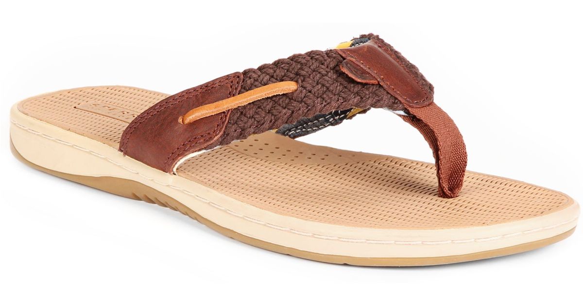Sperry Top-Sider Womens Parrotfish Thong Sandals in Brown - Lyst