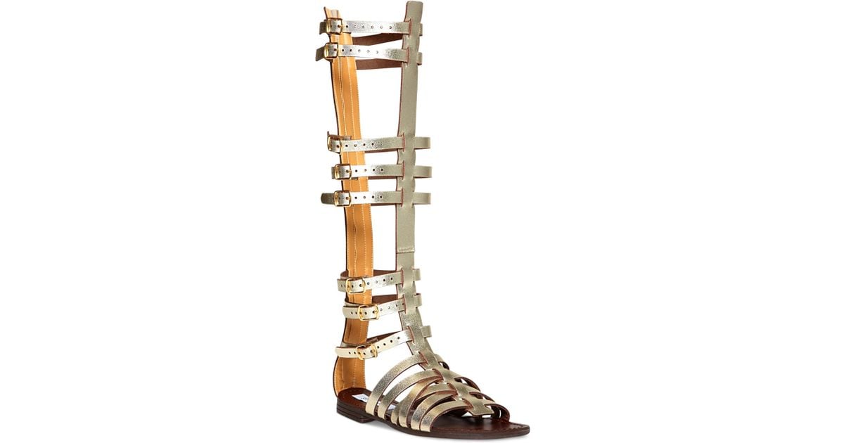 steve madden knee high gladiator sandals