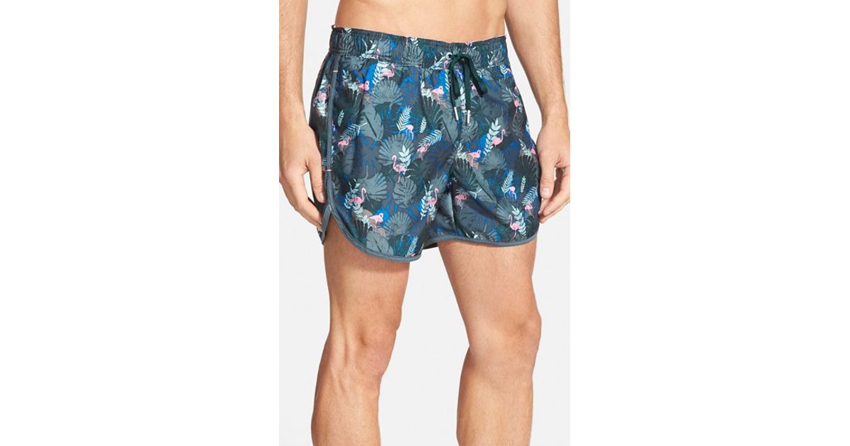 rainforest swim trunks