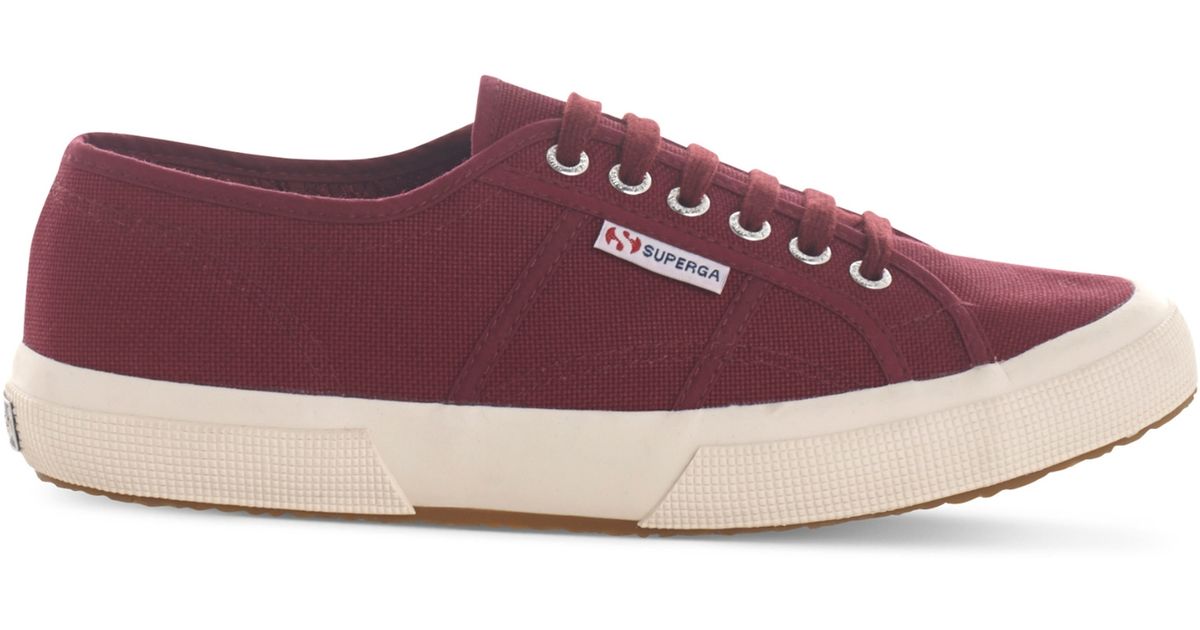 superga dark bordeaux
