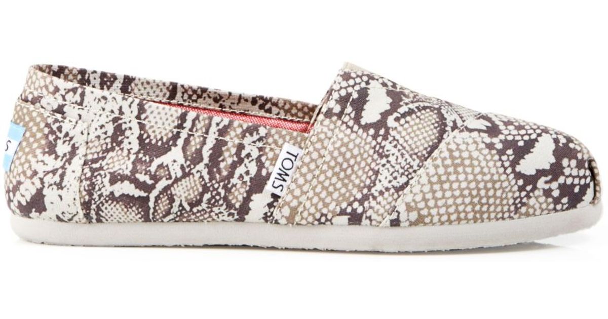 toms snake print