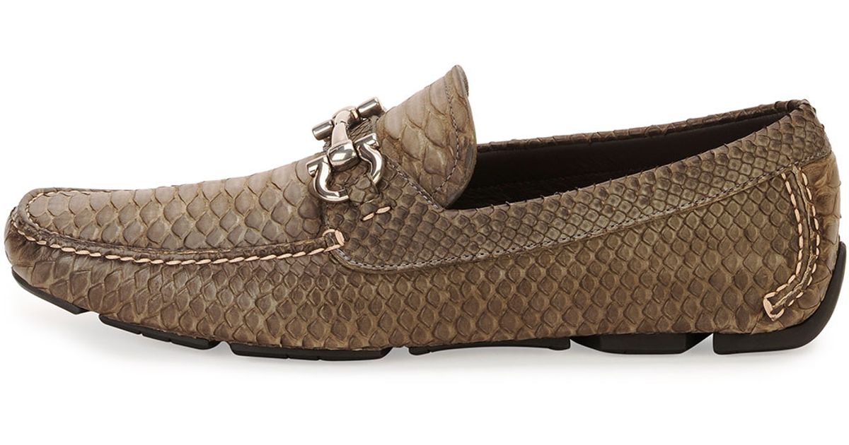 ferragamo python shoes