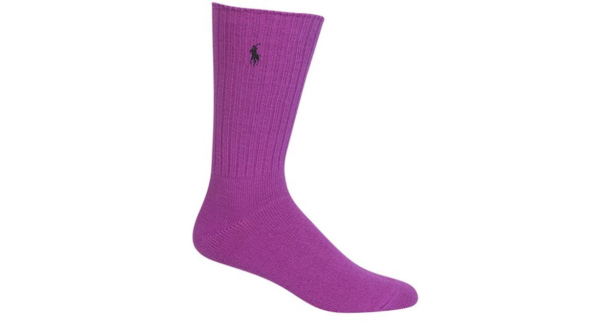 purple polo socks
