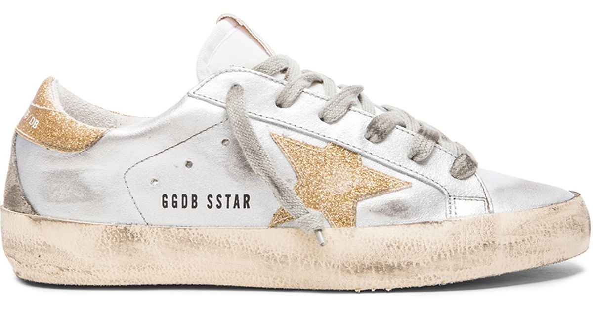 silver and gold golden goose