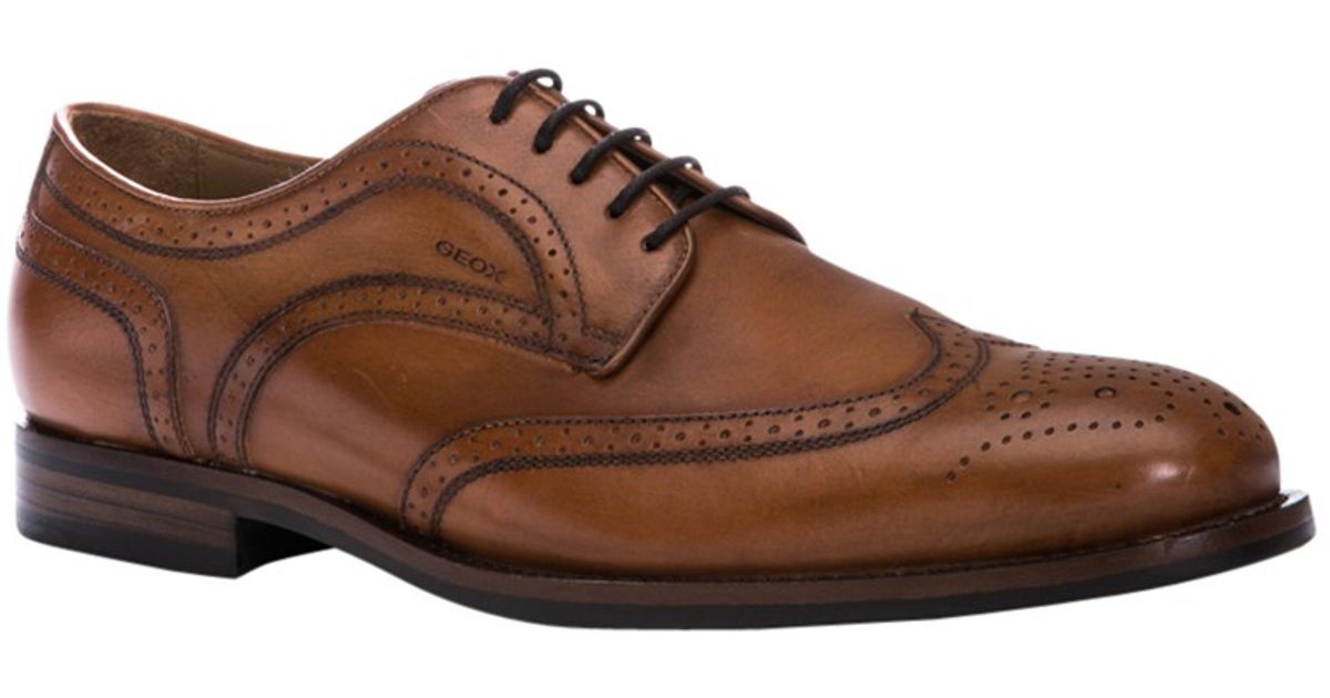geox brogues