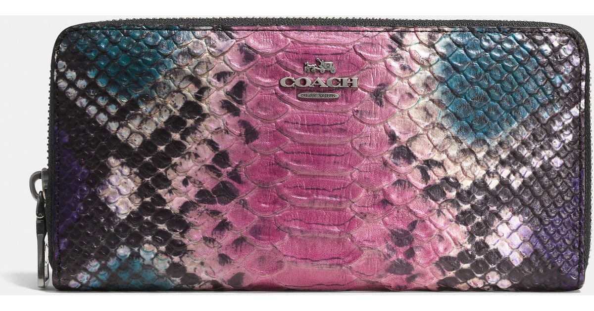 coach python wallet