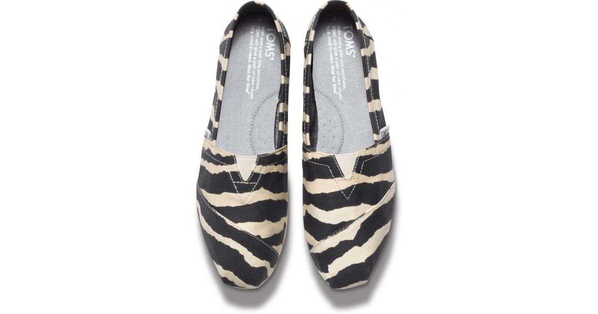 zebra toms