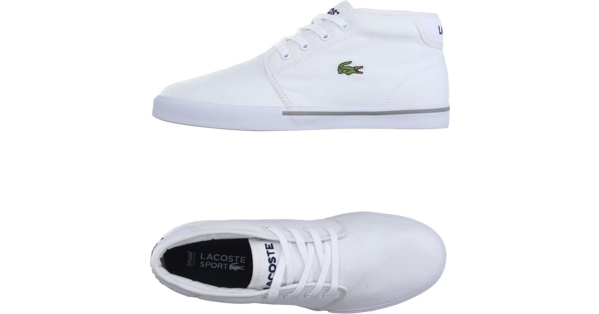 lacoste high tops