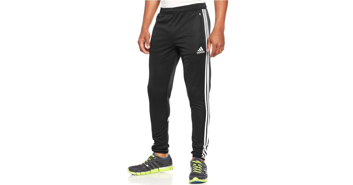 adidas condivo joggers