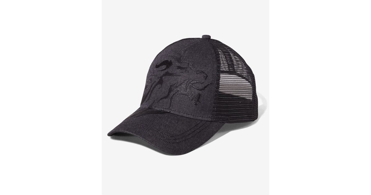 Express Extra Large Lion Chambray Trucker Hat In Black For Men Lyst