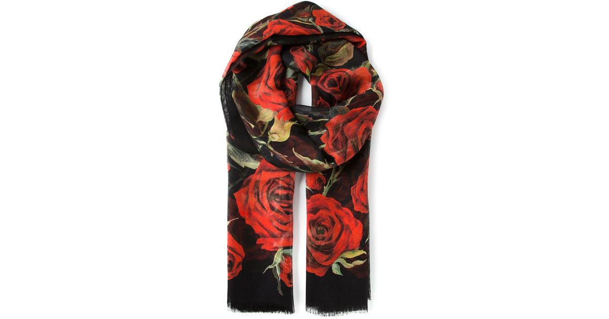 Dolce & Gabbana Roses Print Scarf in Red | Lyst