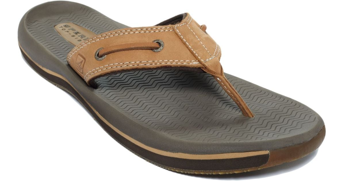 sperry santa cruz thong sandal