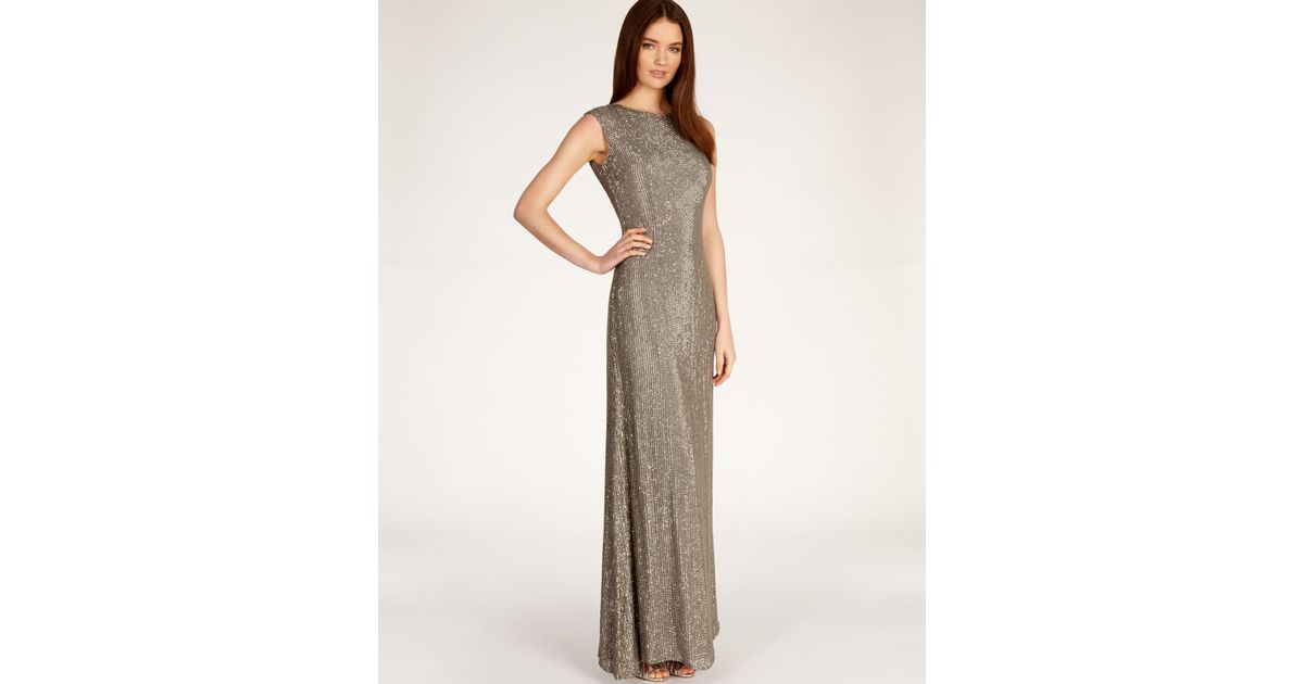 coast liberty mesh dress