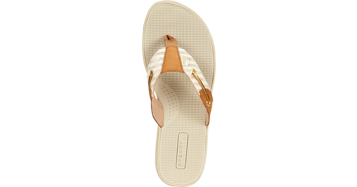 sperry women's seafish thong sandals