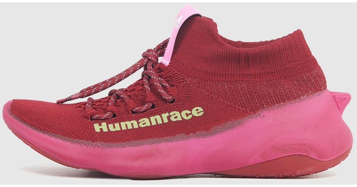 adidas human race maroon