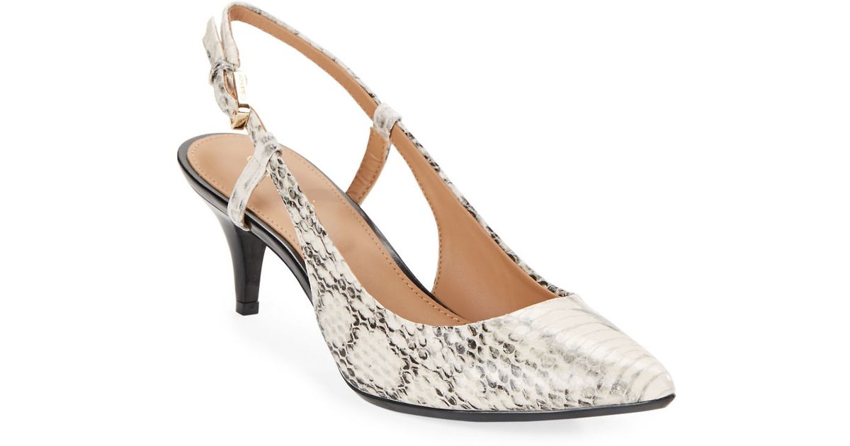 calvin heels