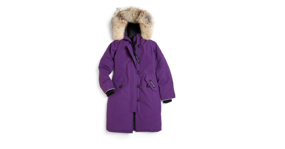 canada goose lilac canada goose lilac