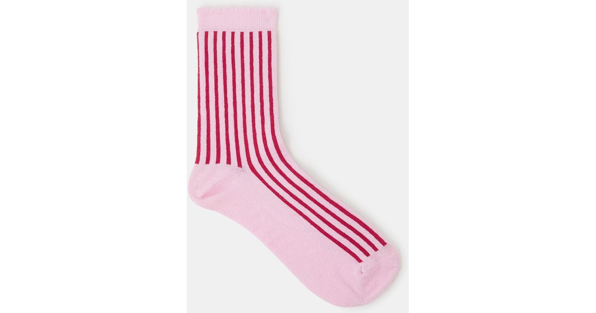 Men's Pink Thin Stripe Sock Bundle