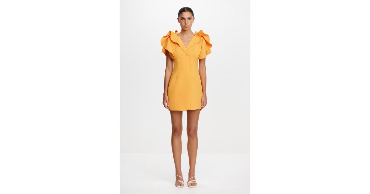 knee length dresses for ladies Normanhill Berry Pink Structured Midi Dress for Women, AU14 / US10 main image 1