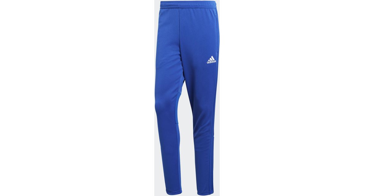 condivo 18 training tracksuit bottoms