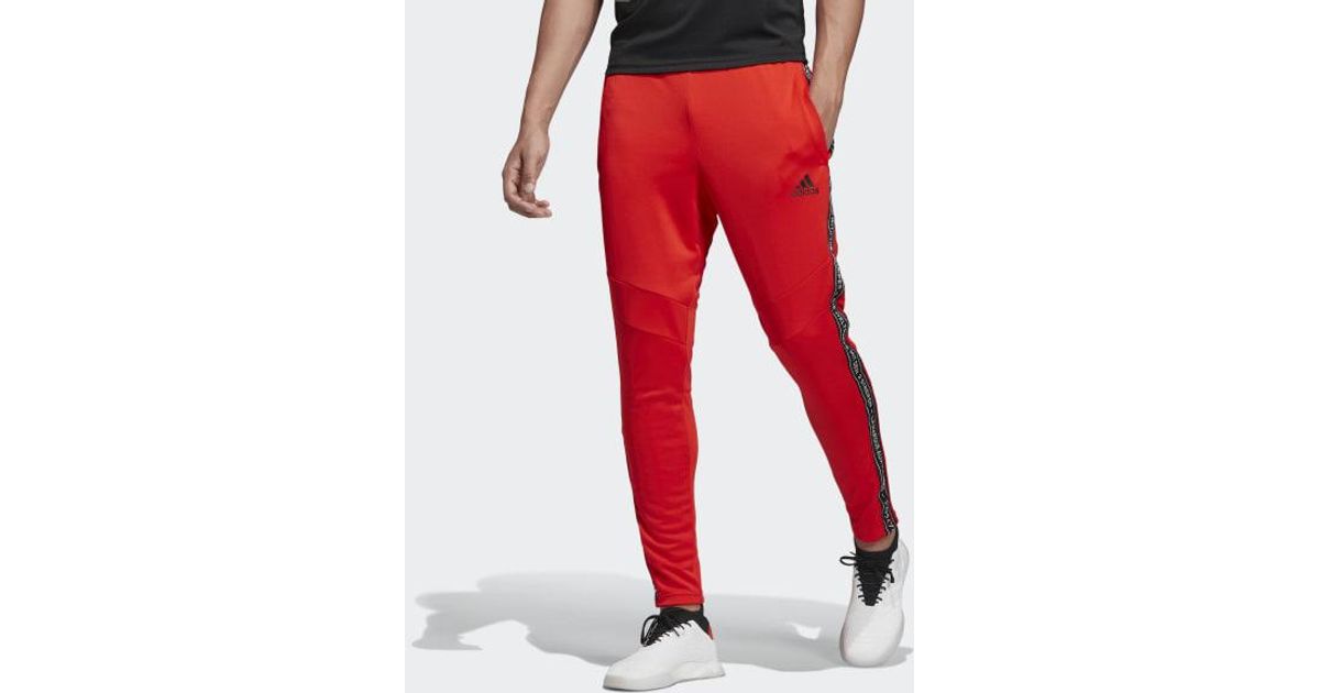 red training pants