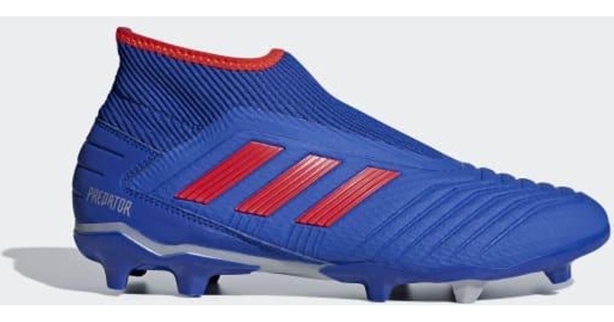 laceless blue predators