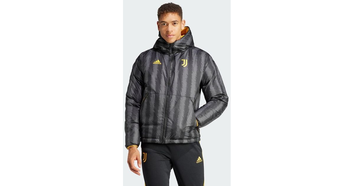 adidas Juventus Dna Down Jacket in Grey for Men | Lyst UK