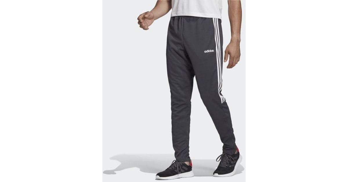 sereno 19 training top