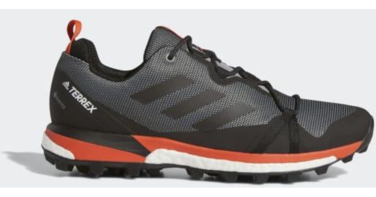 terrex skychaser lt gtx shoes