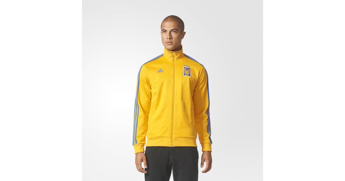 adidas yellow jacket black stripes