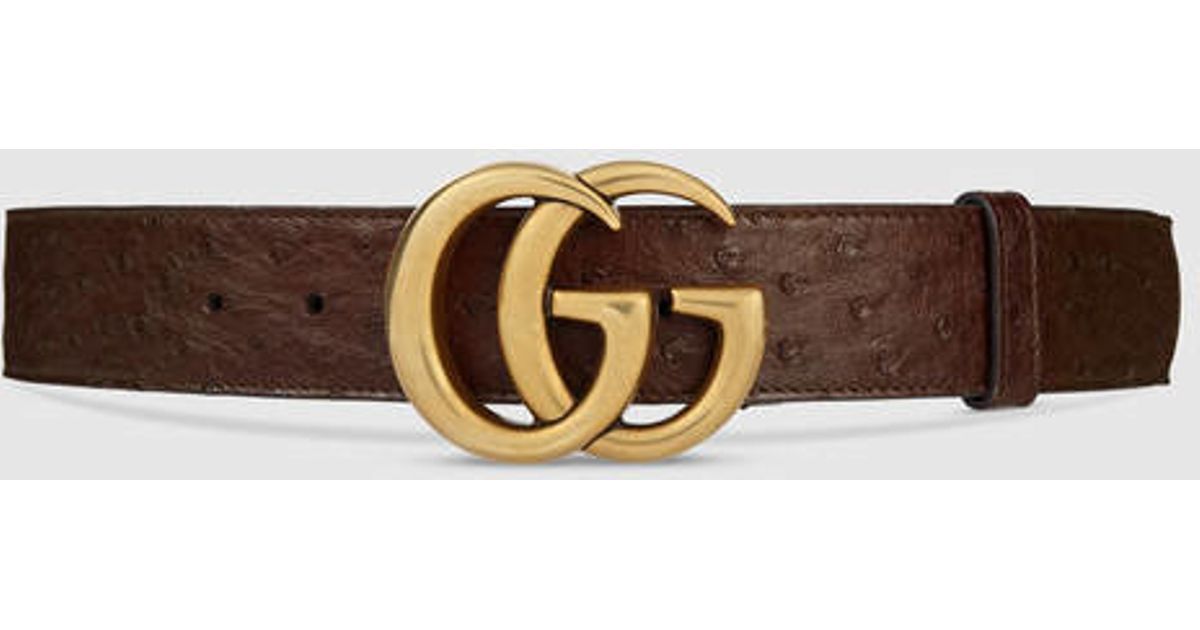 gucci double g belt brown